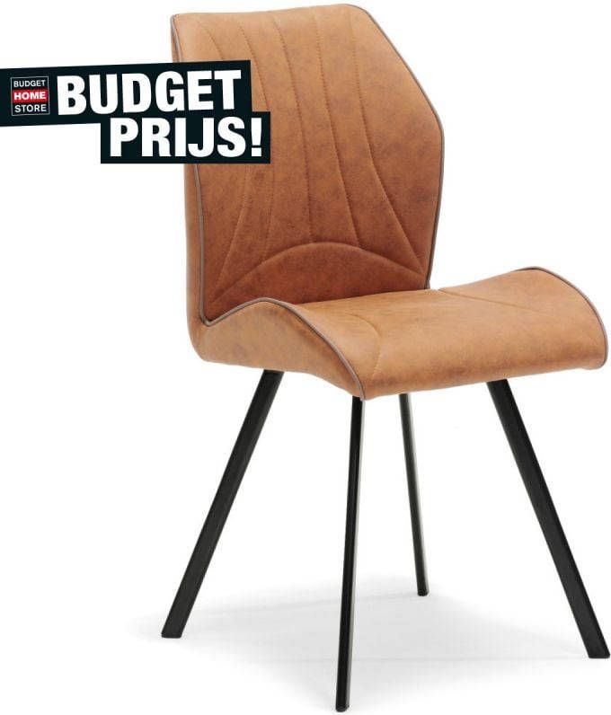 Budget Home Store Eetkamerstoel Glen