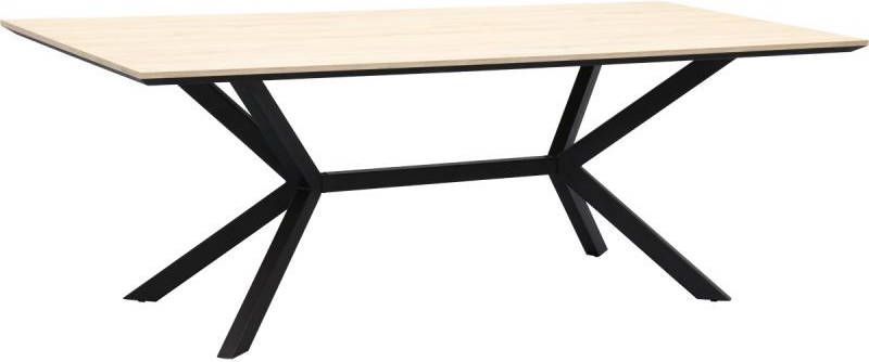 Budget Home Store Eettafel Stilo 220x100cm