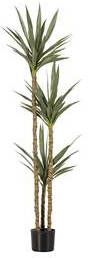 Woood Yucca Kunstplant Plastic Groen 155x70x70