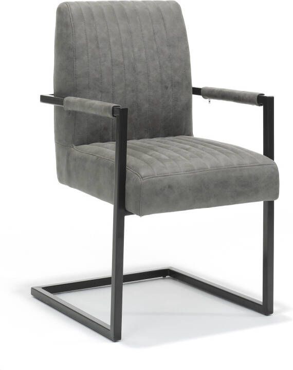 Huisenthuis.nl Armstoel Chloe Steel Set van 2