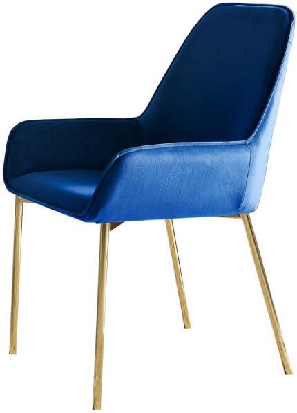 Huisenthuis.nl Eetkamerstoel Fiona Blauw Set van 2