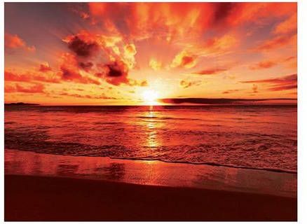 Home affaire Print op glas Beautiful tropical sunset on the beach 80/60 cm