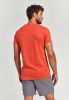 Shiwi T shirts print Oranje Heren online kopen