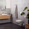 Haceka Toiletborstelset Aline Grey 41, 4 cm Aluminium Mat Grijs online kopen