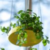 Esschert Design Plantenblad hangend rond S goudkleurig online kopen